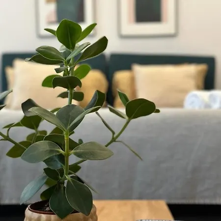 Luxuoso Com Varanda Em Homestay